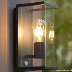 Buitenlamp antraciet/glas met bewegingssensor IP54