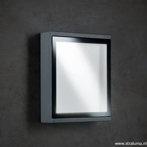 Buitenlamp wand rechthoek antraciet IP54