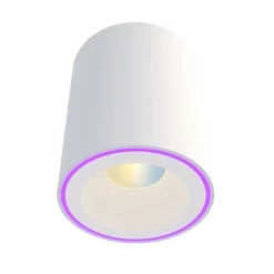 Calex Smart Halo plafondspot wit