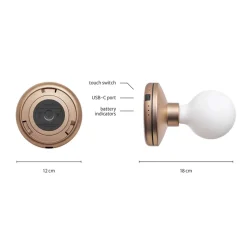 Dimbare wandlamp op batterij goud met frosted