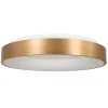 Grote plafondlamp goud 48 cm inclusief LED