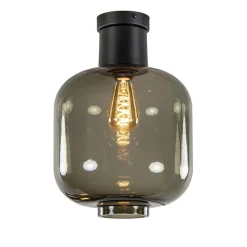 Grote plafondlamp smoke glas met mat zwart