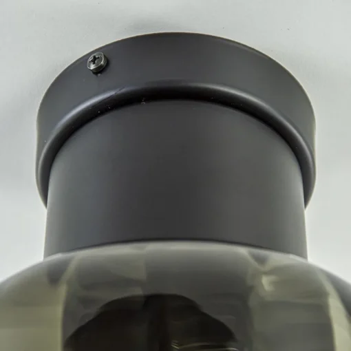 Grote plafondlamp smoke glas met mat zwart