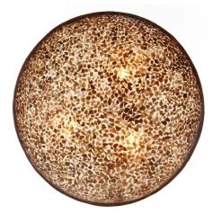 Grote schelpen wandlamp bruin met goud 60 cm