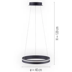Hanglamp Q-Vito 40 zwart + afst.bed.CCT