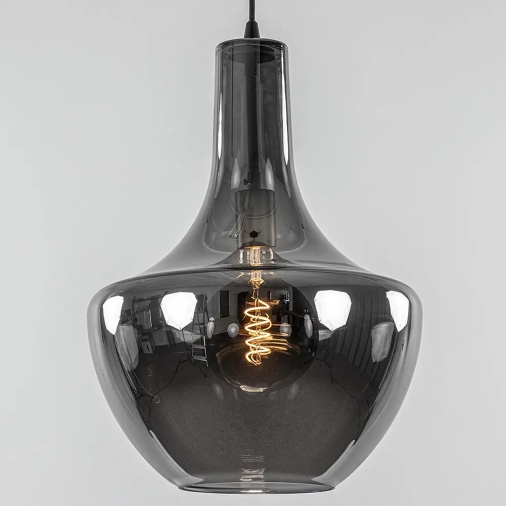Hanglamp zwart met smoke glazen kap