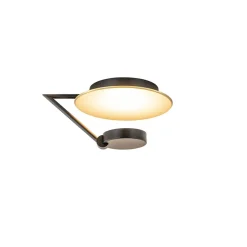Kleine LED plafondlamp zwart met goud