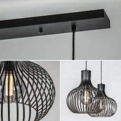 2-Lichts hanglamp met mat zwarte draad kappen