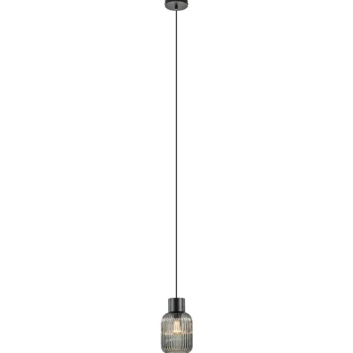 1-Lichts hanglamp zwart met smoke glazen cilinder