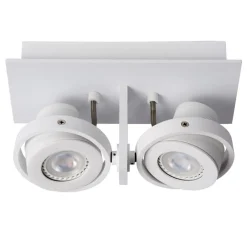 2-Lichts opbouwspot wit dim to warm LED