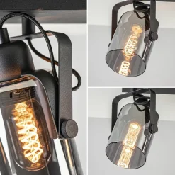 3-Lichts plafondlamp mat zwart met smoke glazen kappen
