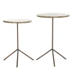 Light and Living bijzettafel Gimi set van 2