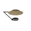Mat zwarte LED plafondlamp met goud