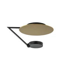 Mat zwarte LED plafondlamp met goud