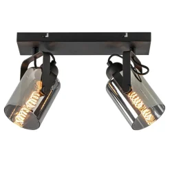 Mat zwarte 2-lichts plafondlamp met smoke glas