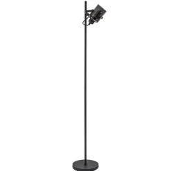 Mat zwarte vloerlamp met smoke/titanium glas