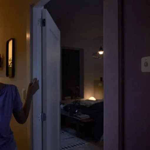 Philips Hue Motion Sensor EU