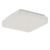 Plafondlamp Basic Square 26cm wit