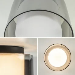 Plafondlamp Ice 23cm zwart/smoke IP44