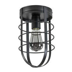 Plafondlamp kooi zwart