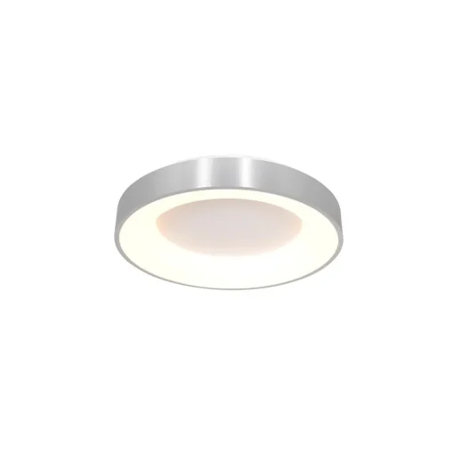 Plafondlamp Ringlede 30cm rvs led