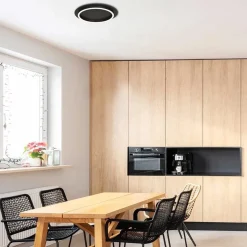 Plafondlamp Ringlux zwart