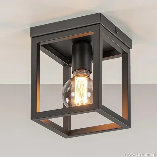 Plafondlamp vierkant frame klein zwart