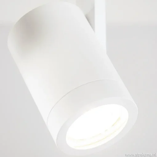 Plafondspot Halo 2L rond wit