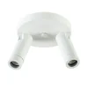 Plafondspot Miller 2l wit/goud pucc