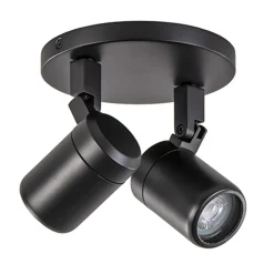 Plafondspot Rain 2L rond zwart IP44