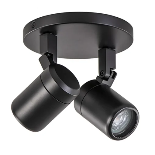 Plafondspot Rain 2L rond zwart IP44