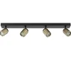 Plafondspot Razza 4L balk zwart/matgoud