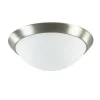 Plafonnière rvs + mat glas 30cm