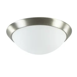 Plafonnière rvs + mat glas 30cm