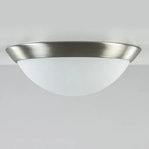 Plafonnière rvs + mat glas 30cm