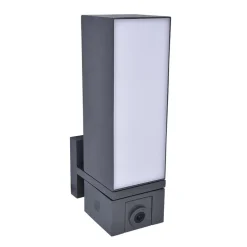 Rechthoekige LED buitenlamp met camera en bewegingssensor