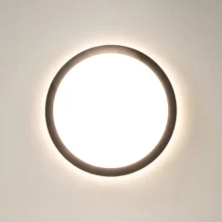 Ronde LED plafondlamp zwart met 3 licht opties IP44
