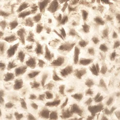 Ronde schelpen wandlamp wit/parelmoer 60 cm