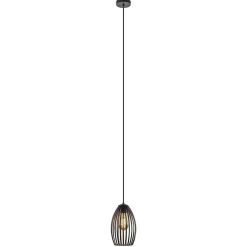 Scandinavische hanglamp mat zwart
