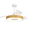 Ventilator Coin hout remote cct