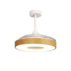 Ventilator Coin hout remote cct