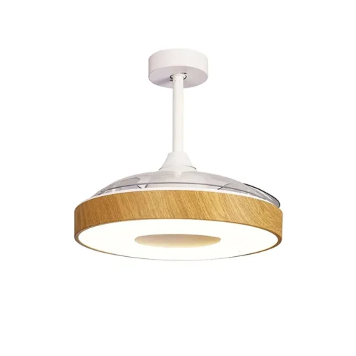 Ventilator Coin hout remote cct