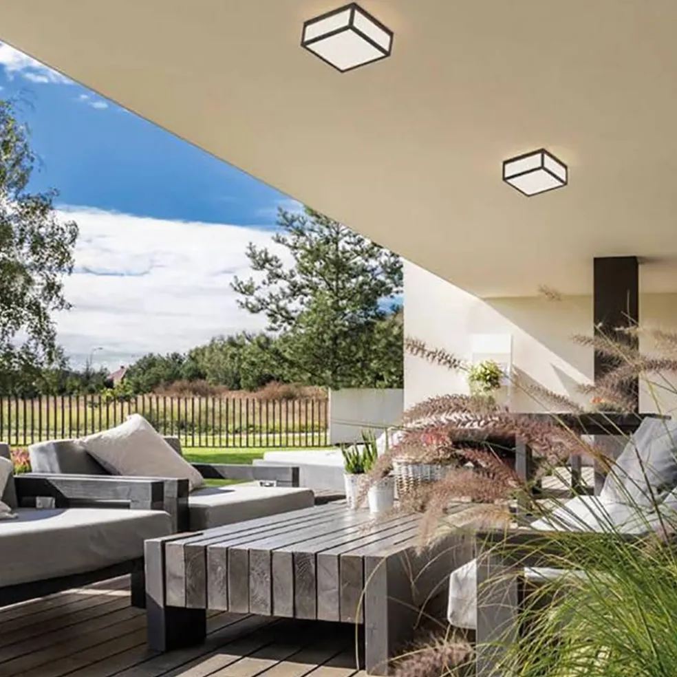 Vierkante buitenlamp dark grey plafond/wand