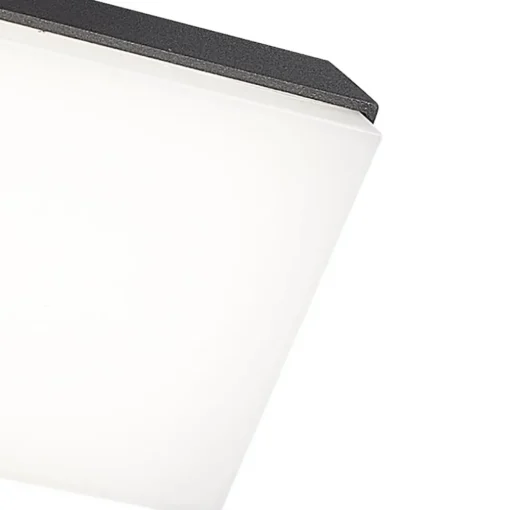 Wandlamp buiten antraciet