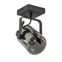 Zwarte plafond/wandlamp met titanium glas
