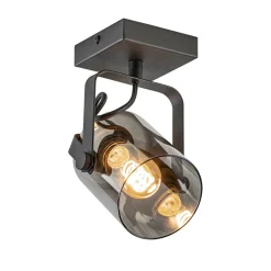 Zwarte plafond/wandlamp met titanium glas